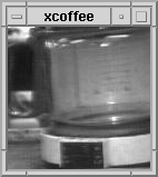 xcoffee.gif