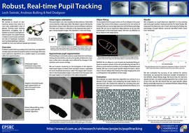 Robust, Real-Time Pupil Tracking