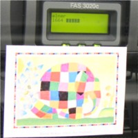 elmer