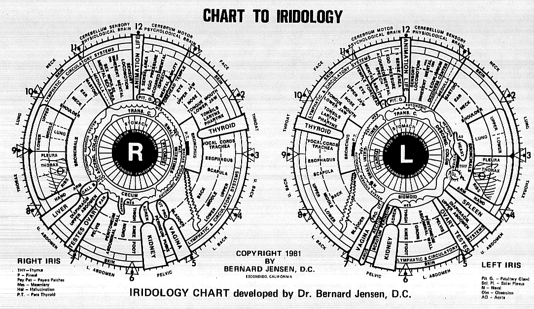 How do you read an iridology eye chart?