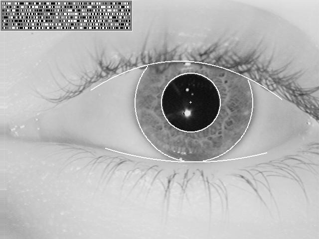 Iris recognition thesis