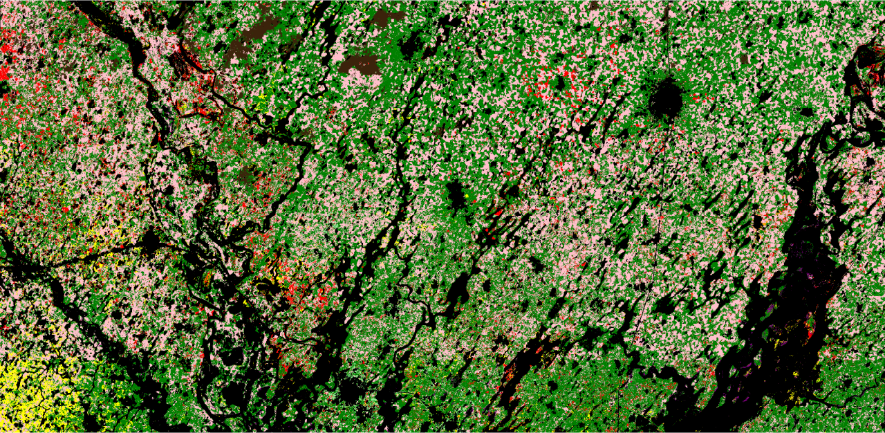 Crop map of Senegal's groundnut basin in green, pink, yellow, red and black