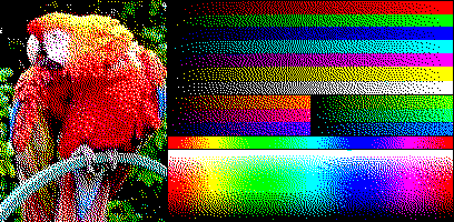 8 colour image of a bird