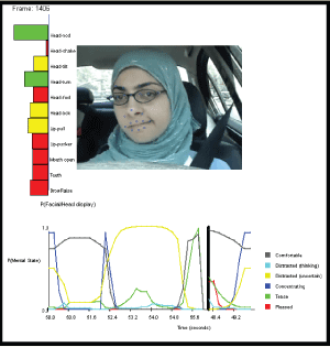 Monitoring a car driver