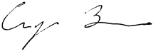 [Signature of Bruno Crispo]