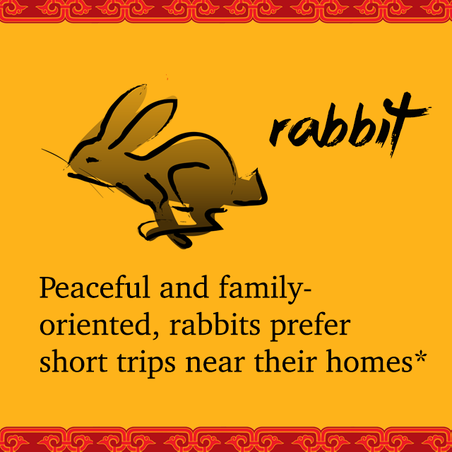 rabbit