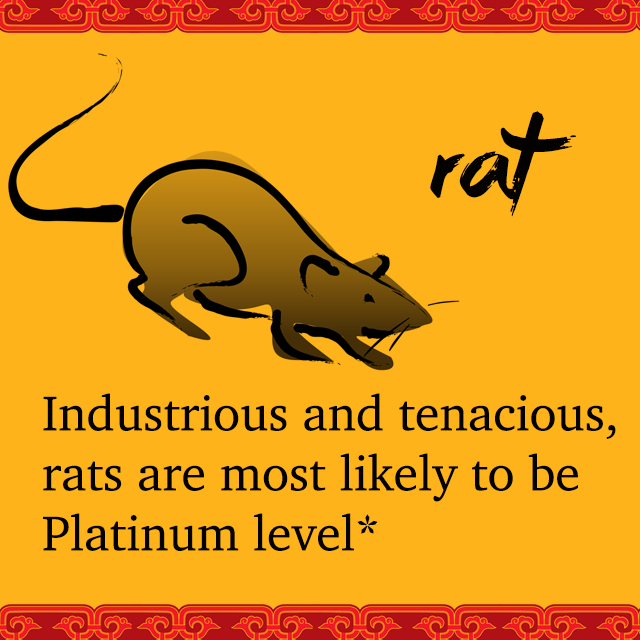 rat