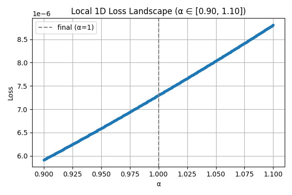 loss_landscape_1d_after_opt_small.png