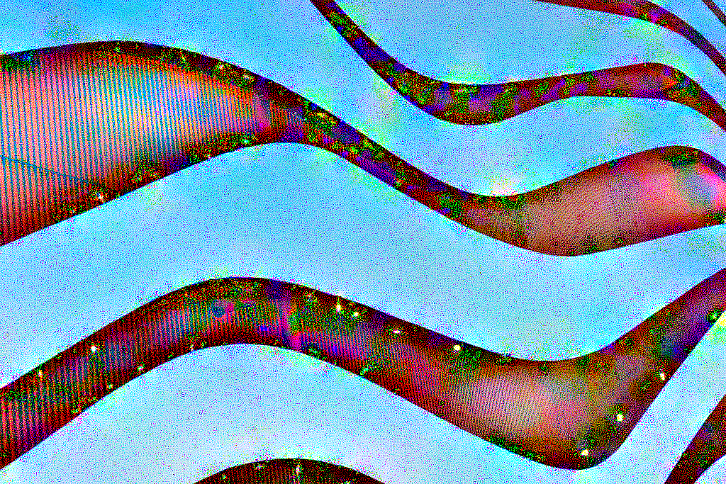 Final Image Seed 2025