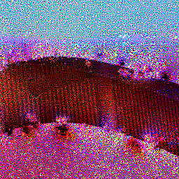 Final Image Seed 17
