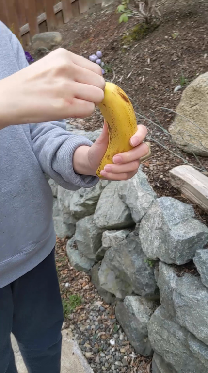 GT