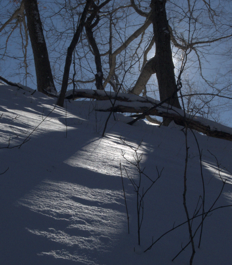 Selected · D2 · Luminance-stratified reconstruction for Snow