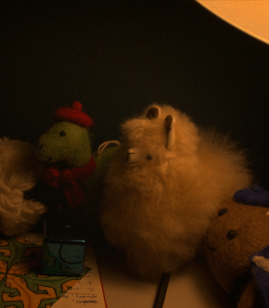 sRGB Charbonnier reconstruction for Toys