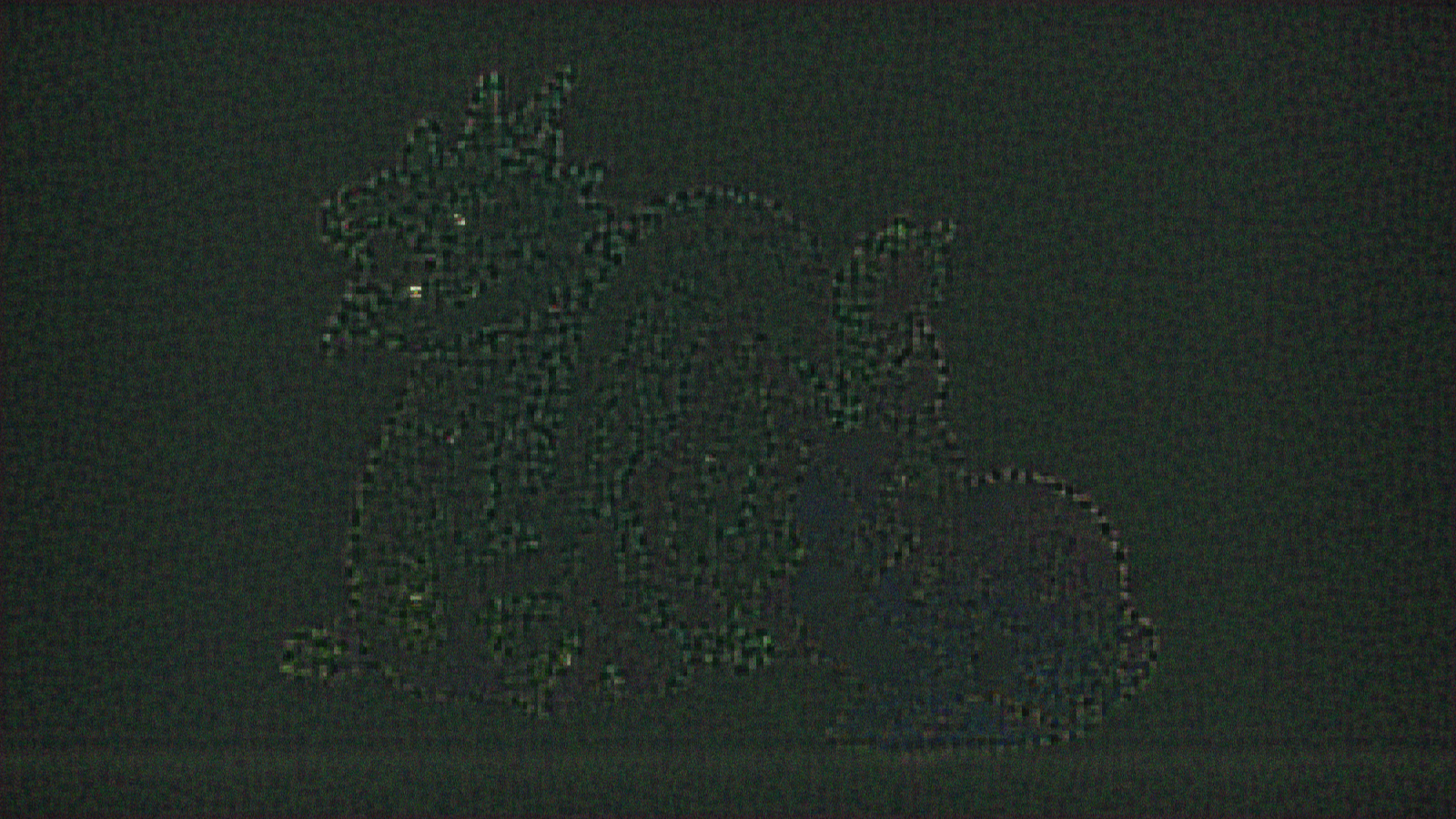 DragonBunny MDSI