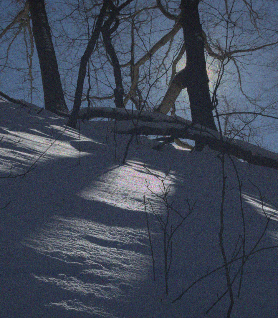 Snow Charbonnier
