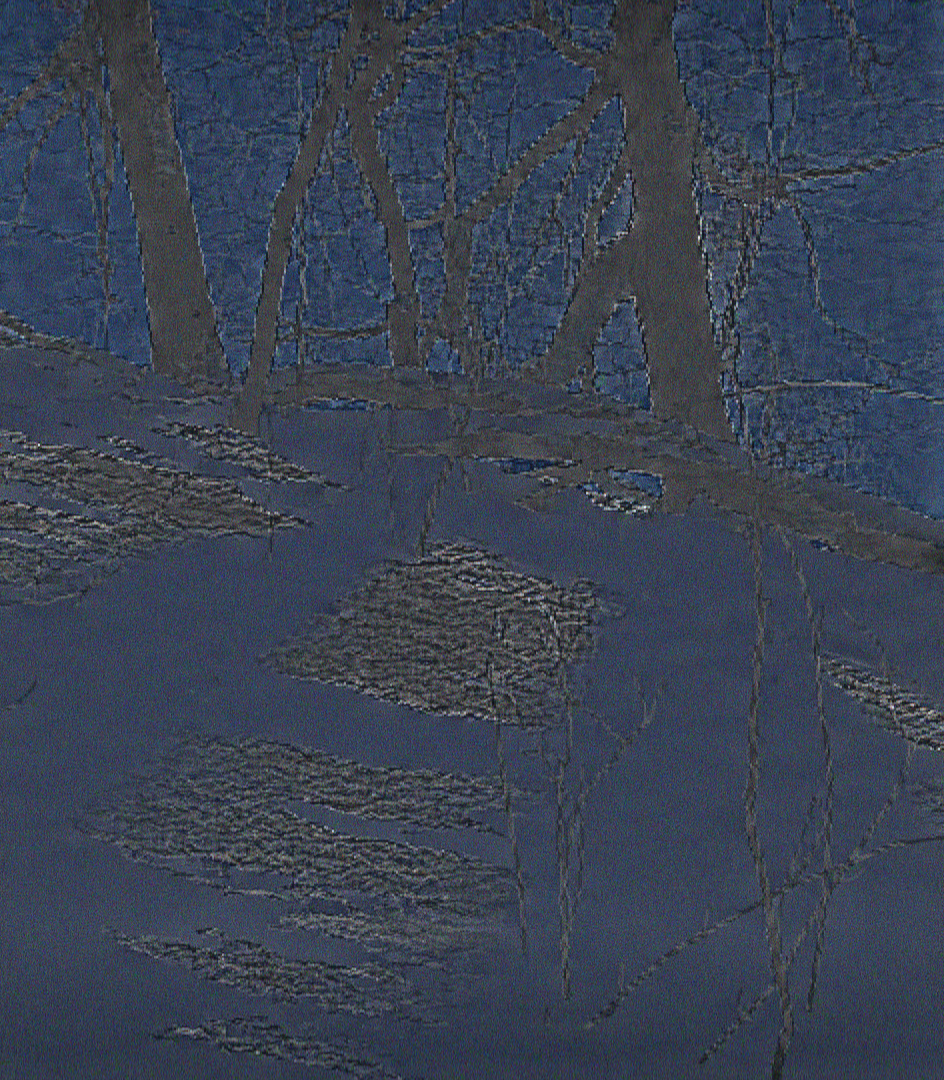 Snow HaarPSI