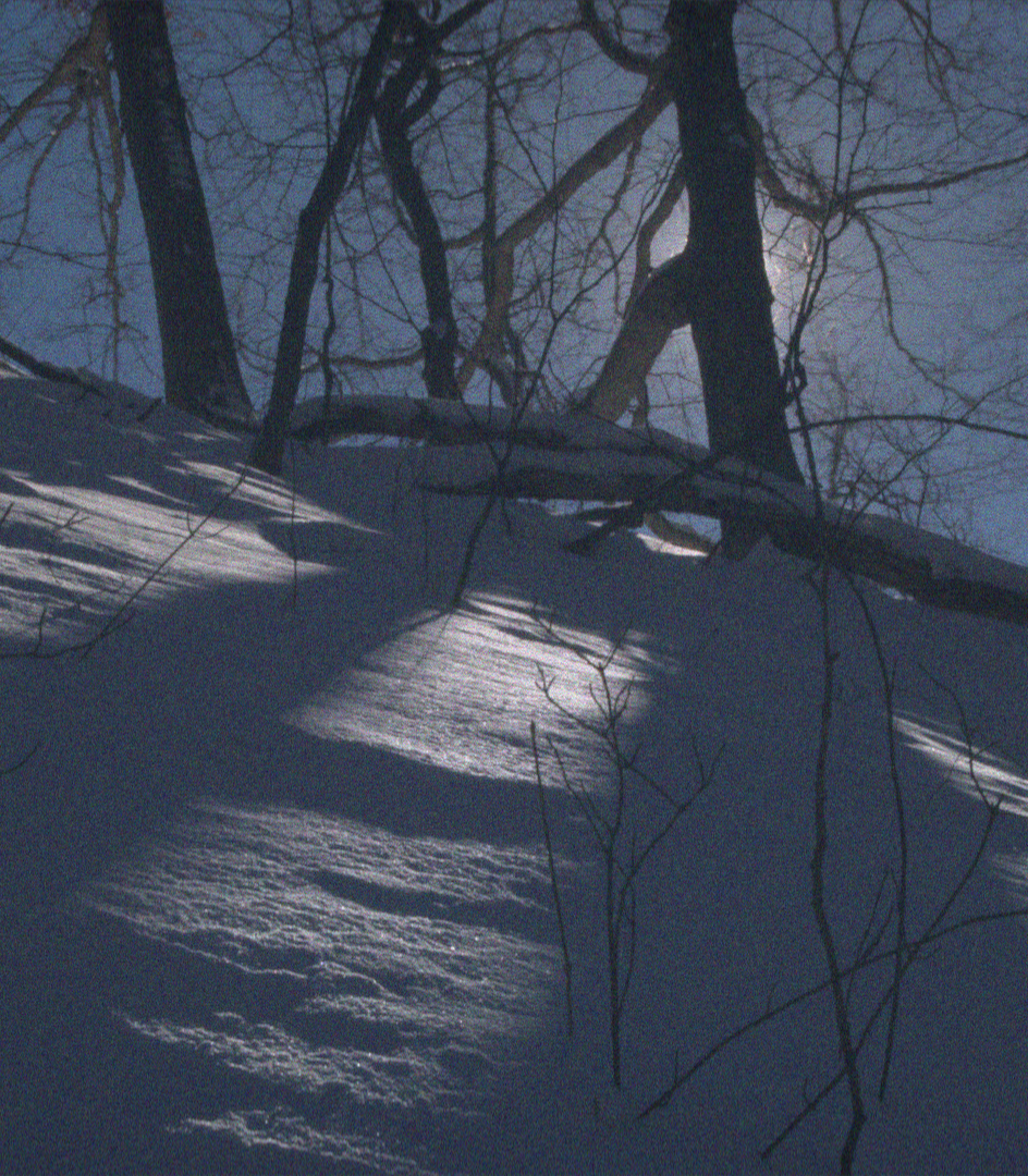 Snow L2 (amplitude)