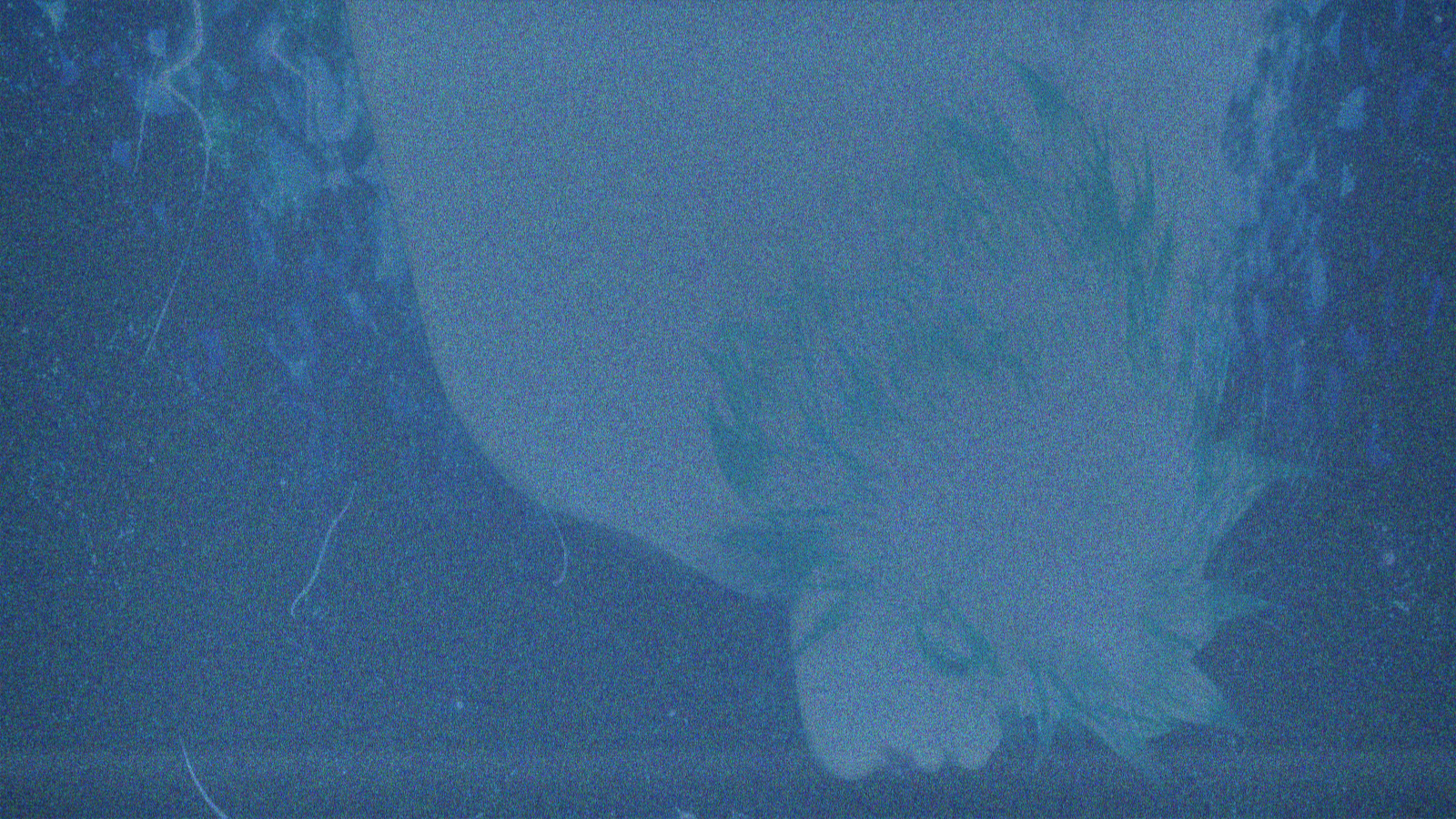Anime2 L1 reconstruction