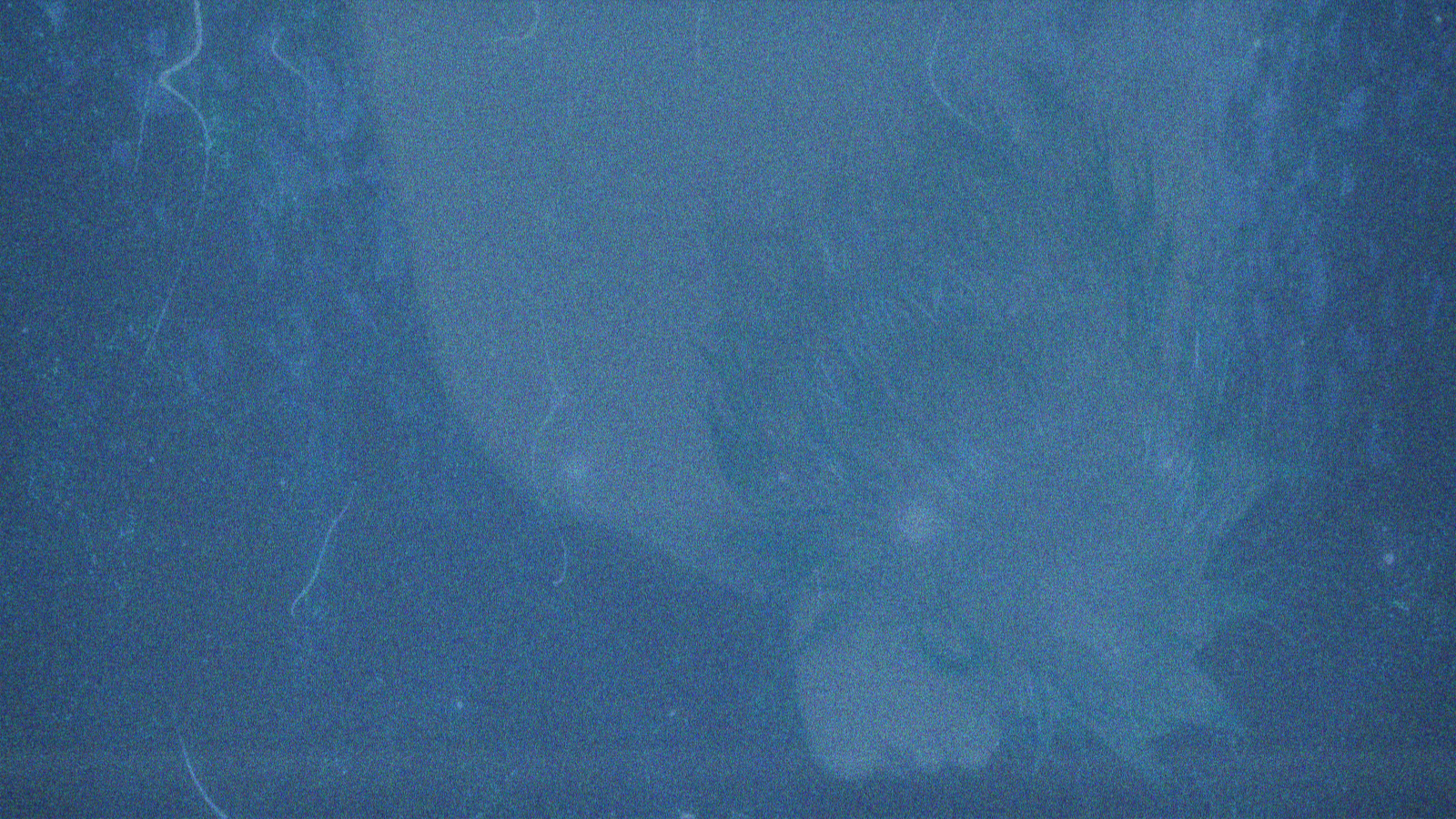 Anime2 L2 reconstruction
