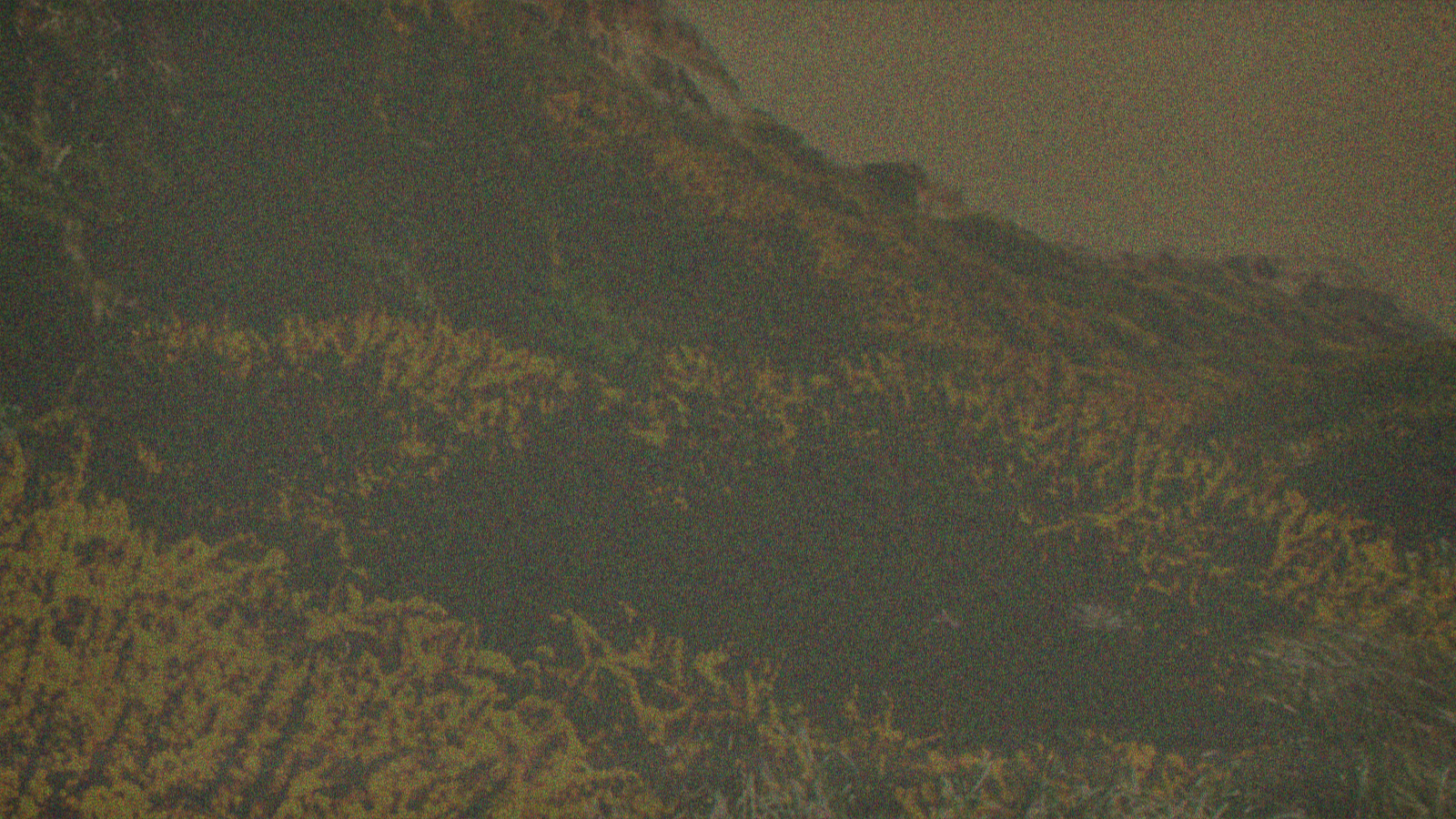 Bloom Charbonnier reconstruction
