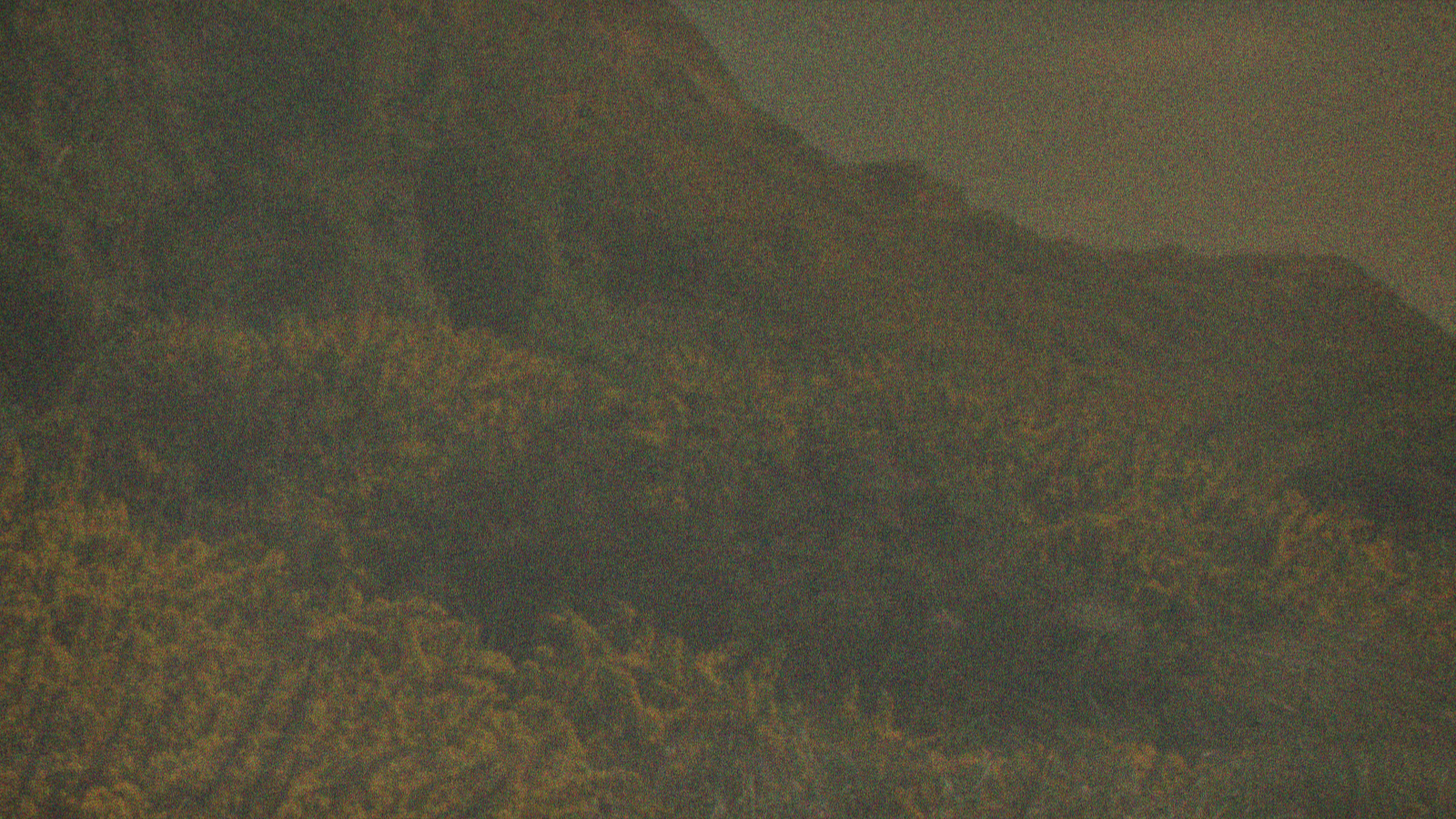 Bloom L2 reconstruction