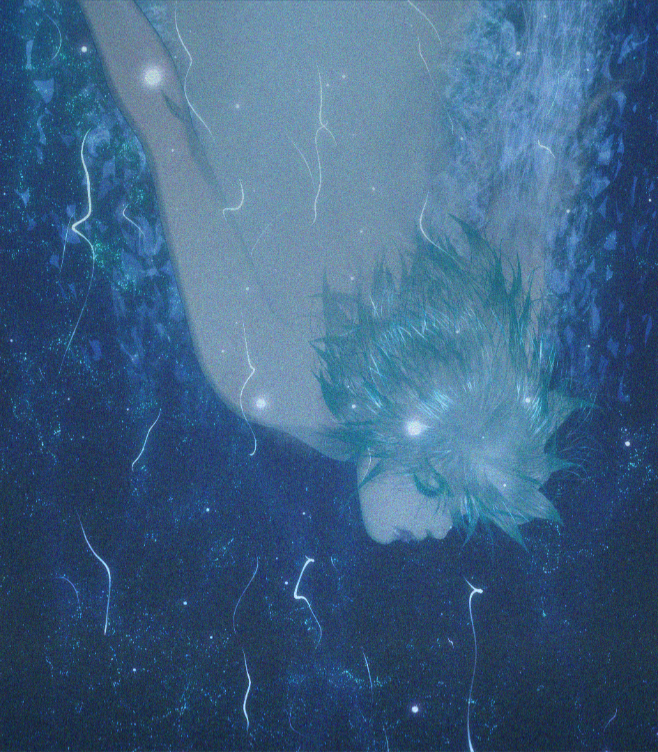 Anime2 L2 (amplitude)
