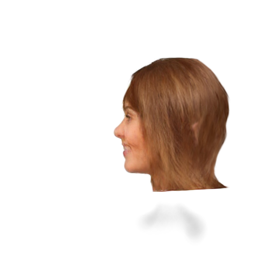 image_0335.png