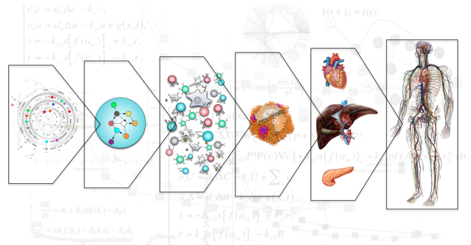  schema ricerca